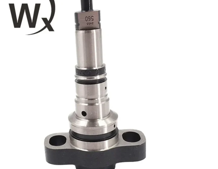 Fuel Injection Pump Plunger 2418455379 2455-379 2455379 for Diesel Engine