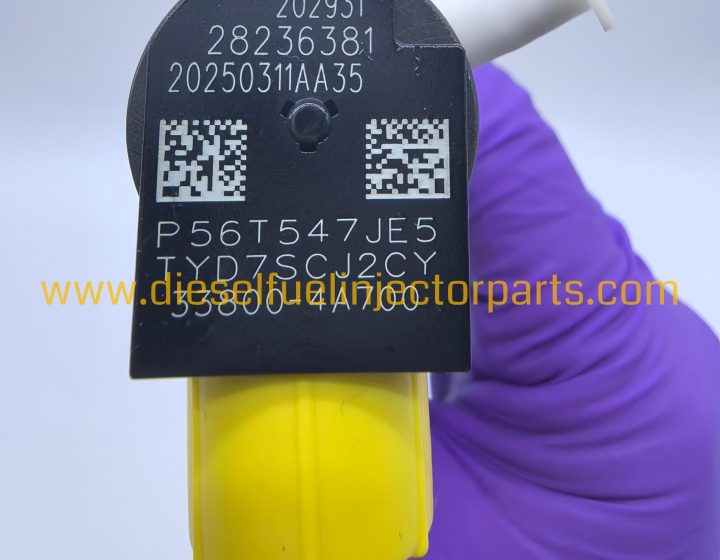 Common Rail Diesel Fuel Injector Nozzle 0445110491 0445110795 16600-MD20A for Nissan Engines