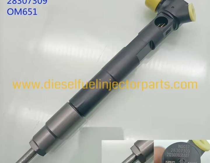 Common Rail Injector 28307309 A6510703087 A6510704987 for OM651 Diesel Engine with 625c Valve