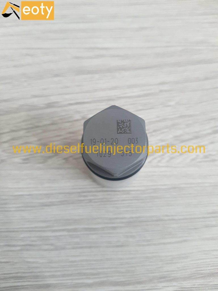 Common Rail Pressure Relief Valve Limiter 1110010027 1110010028 1110010029 for Diesel Engine