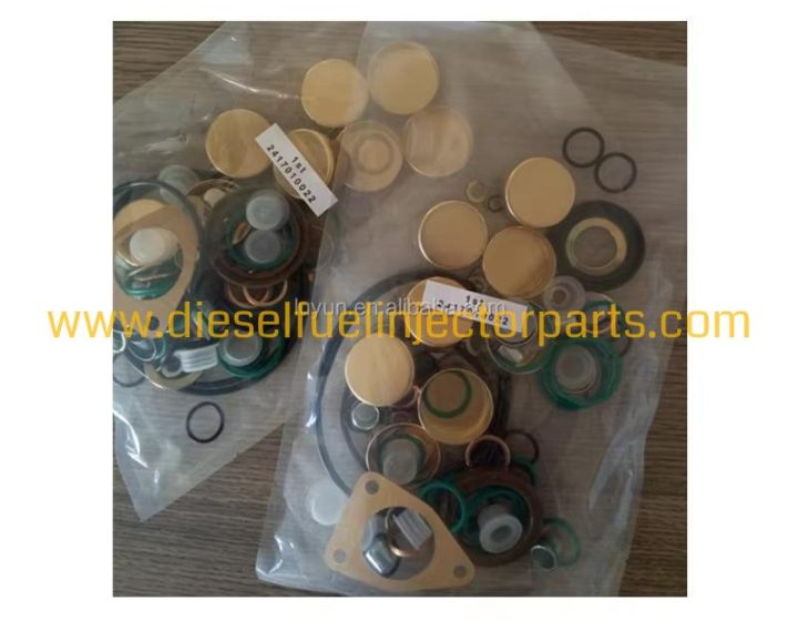 Fuel Injector Repair Kit 2417010022 (800717) for Iveco Tector Diesel Engine