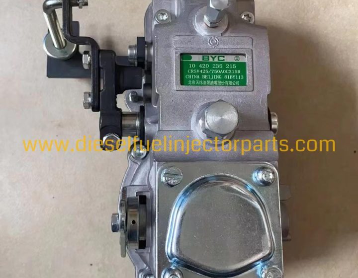 Diesel Fuel Injection Pump Governor 10420235215 CRSV425/750A0C315R for Excavator Engine