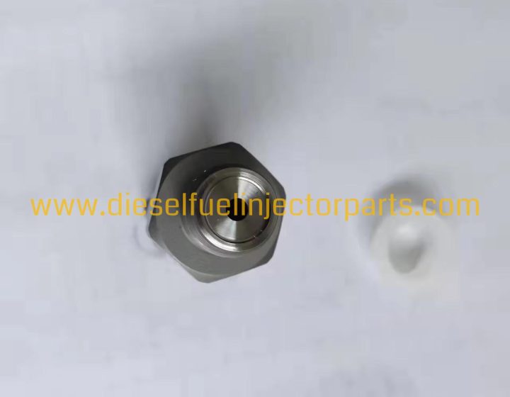 Bosch Diesel High-Pressure Common Rail Relief Valve F00R000775 Pressure Limiting Valve 0.2kg