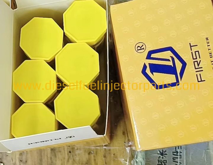 High-Quality P-Type Fuel Injection Plunger 2418455429 for Diesel Engine Fuel System – Standard Size, 6-Month Warranty