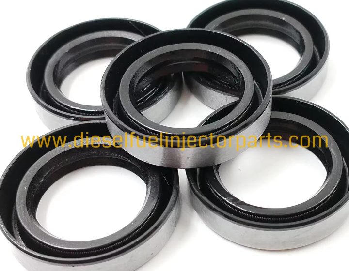 Premium Engine Oil Seal 20x30x7/20x31x7mm NBR/FPM Rubber for Diesel Fuel Pump Replacement