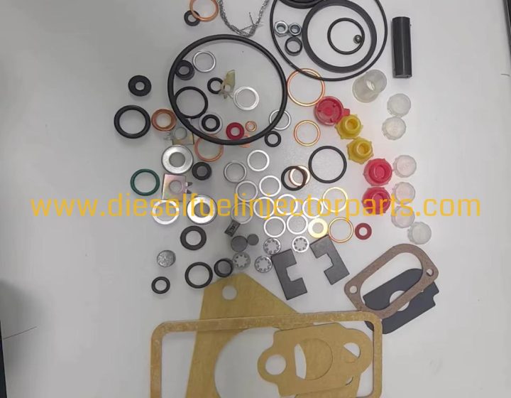 High Quality Diesel Fuel Injection Repair Kit 7135-110 / 7135-110S for Heavy Duty Engines