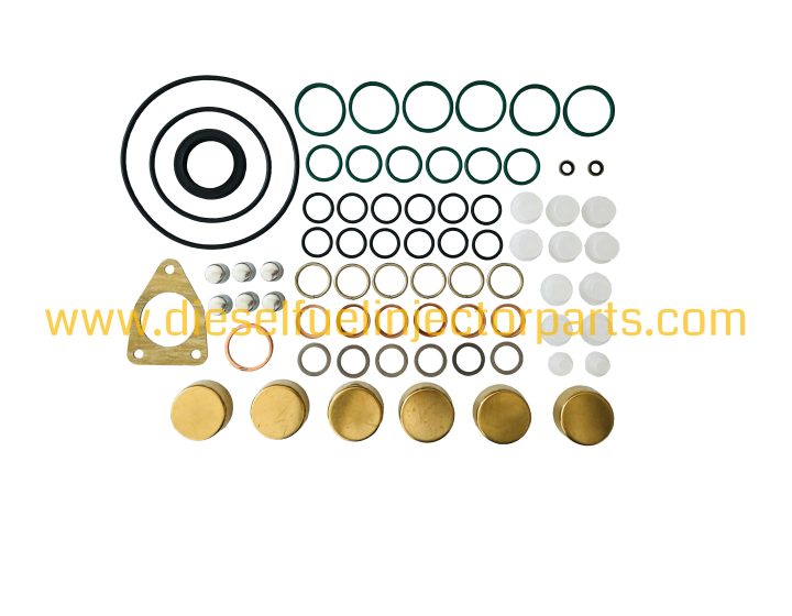 Fuel Injection Pump Repair Kit 2 417 010 010 / 2417010010 for Excavator Engine